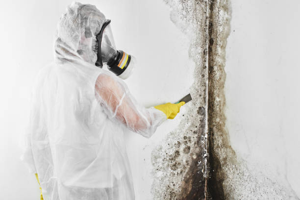 Best Crawl Space Mold Removal  in Oak Ridge, FL