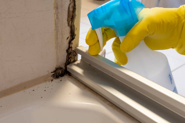 Best Mold Testing  in Oak Ridge, FL