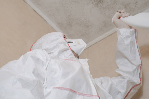 Best Emergency Mold Removal  in Oak Ridge, FL